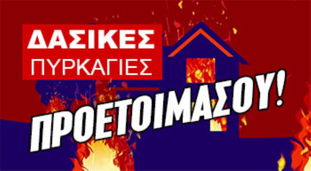 dasikes pyrkagies banner Custom