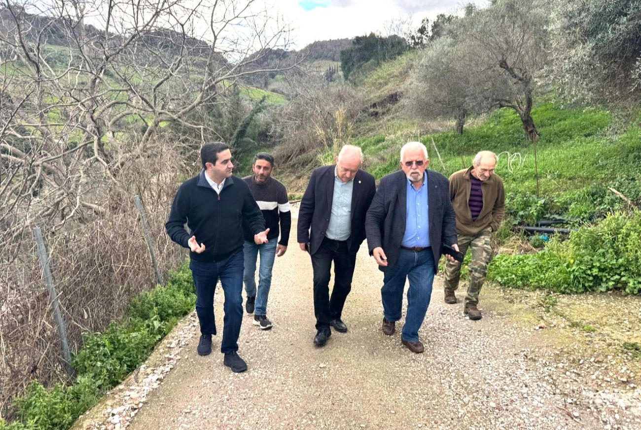 Πηνεία αυτοψίες καθιζήσεις