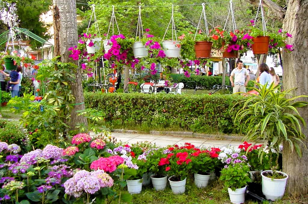 22η Ανθοκομική Έκθεση Αμαλιάδας 16/05/24 -22/05/24
