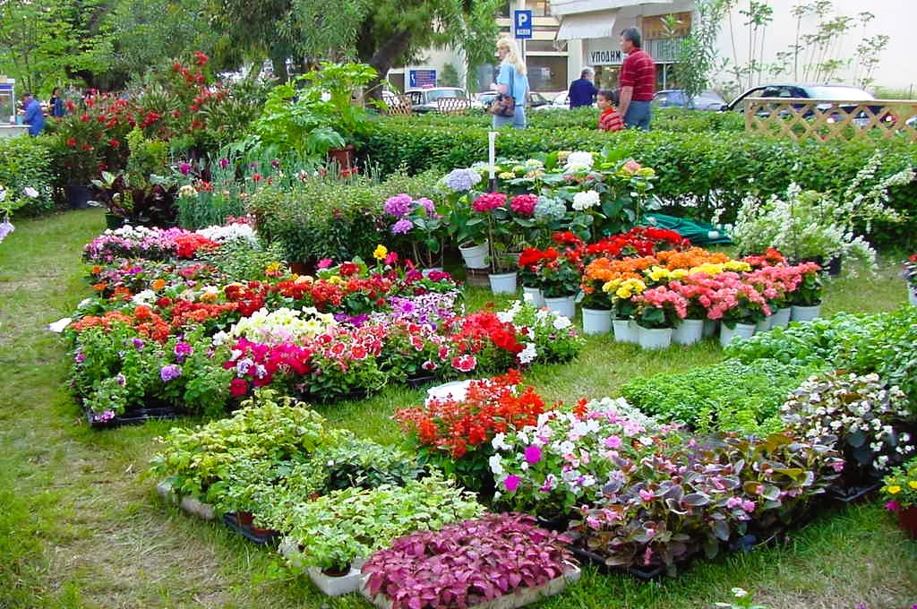 22η Ανθοκομική Έκθεση Αμαλιάδας 16/05/24 -22/05/24