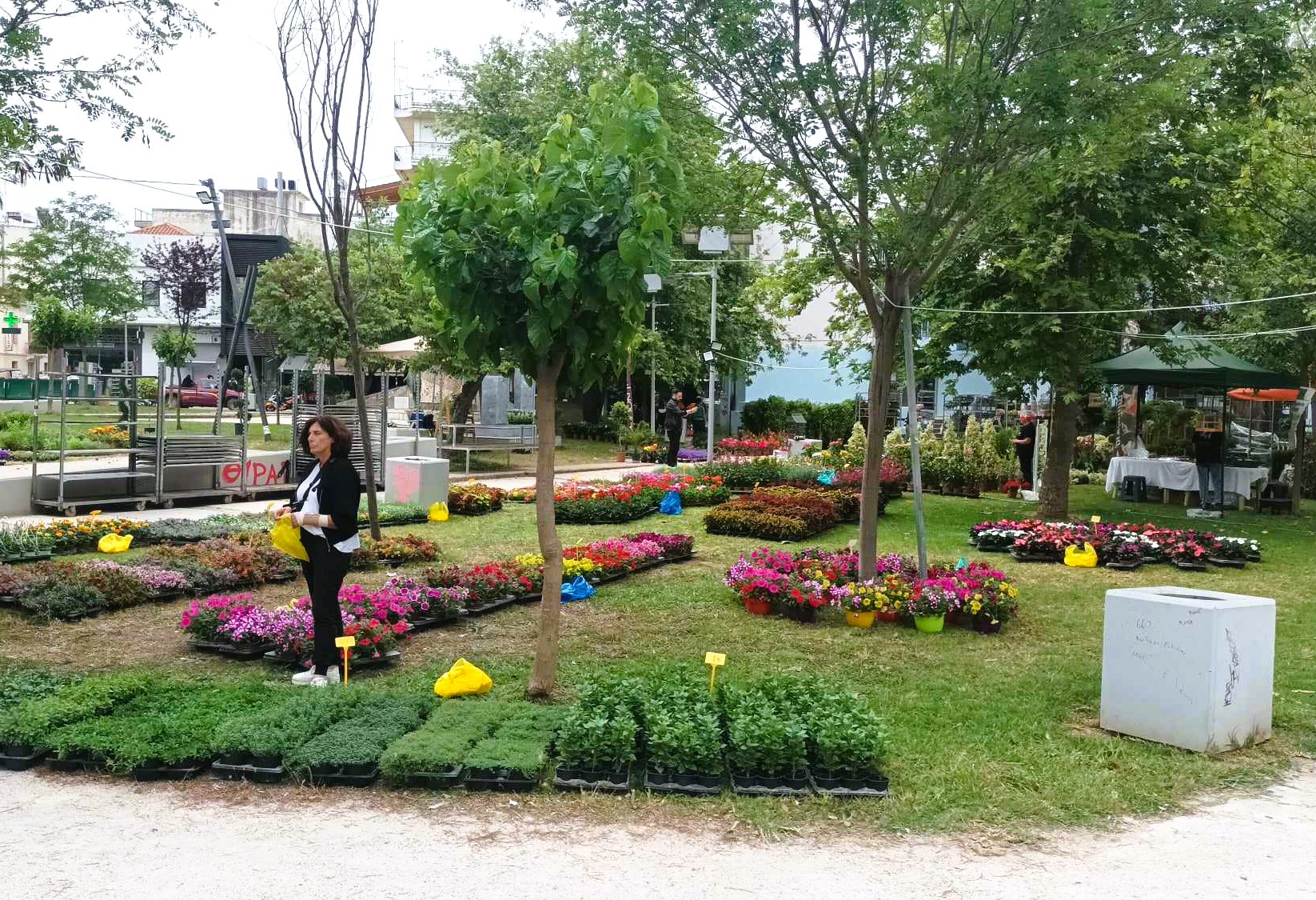 22η Ανθοκομική Έκθεση Αμαλιάδας 16/05/24 -22/05/24