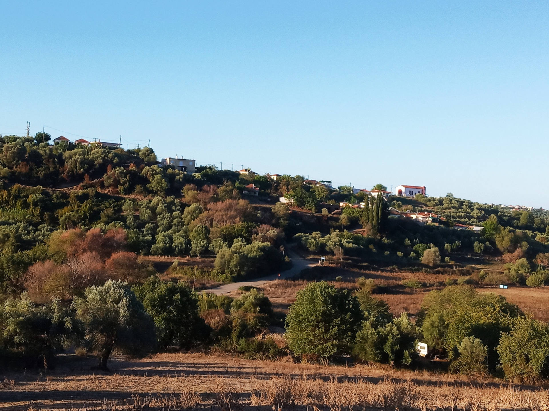 ΑΓΡΑΠΙΔΟΧΩΡΙ