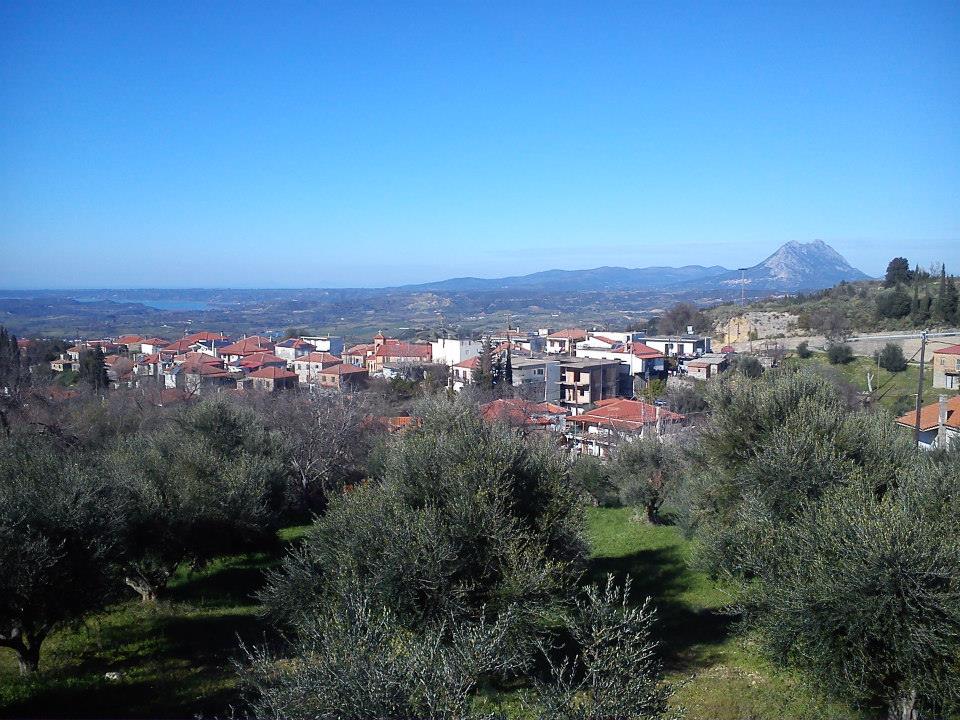 ΑΝΘΩΝΑΣ