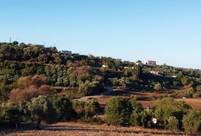 ΑΓΡΑΠΙΔΟΧΩΡΙ