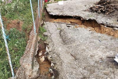 Πηνεία αυτοψίες καθιζήσεις