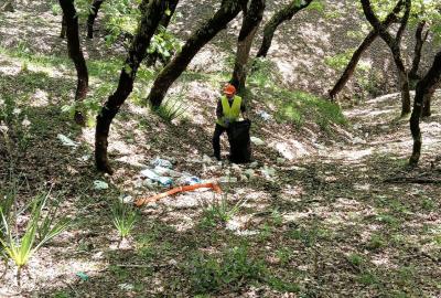 Καθαρισμός Δρυοδάσος Κάπελης