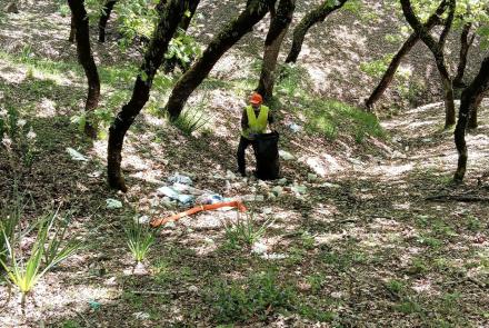 Καθαρισμός Δρυοδάσος Κάπελης